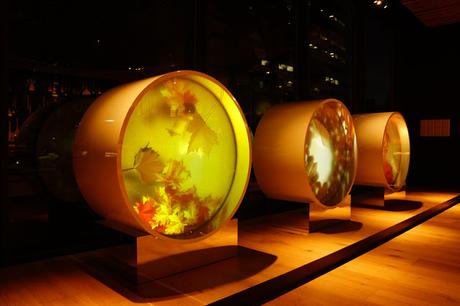 Diseño e interiorismo de una tienda de pigmento y artes de Tokio Diseño e interiorismo de una tienda de pigmento y artes de Tokio