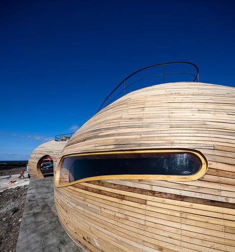 Fusión de edificio histórico rehabilitado y anexo de madera contemporáneo