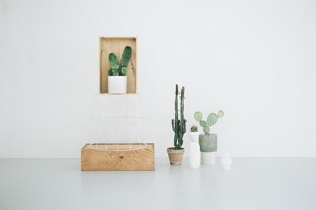 Diseño de tienda de Cactus en Copenhague