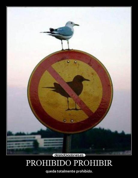 Lo prohibido La imagen puede contener: cielo, exterior y texto