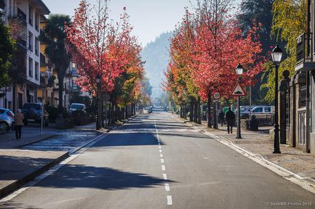 Por la calle principal