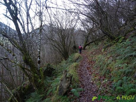 Bosque sobre Puente la Vidre