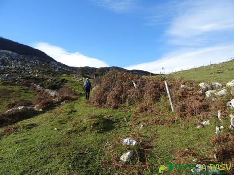 Camperas de Trespandiu