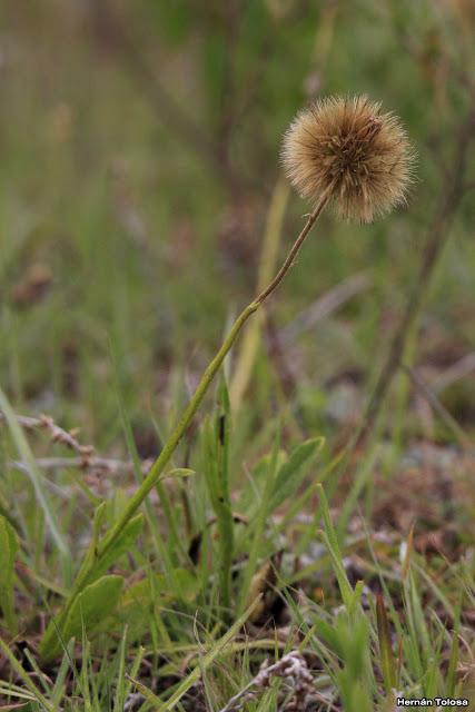 Parque Nacional El Palmar (diciembre 2017)