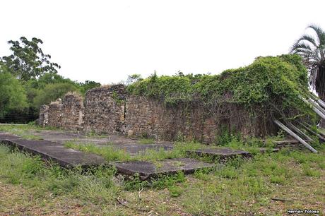 Parque Nacional El Palmar (diciembre 2017)