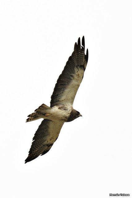 Parque Nacional El Palmar (diciembre 2017)