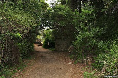 Parque Nacional El Palmar (diciembre 2017)