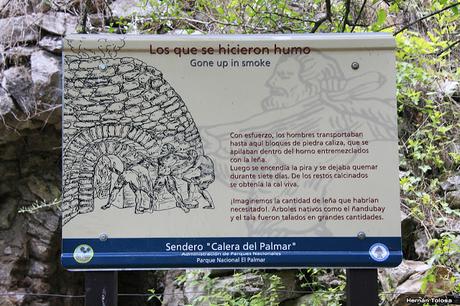 Parque Nacional El Palmar (diciembre 2017)