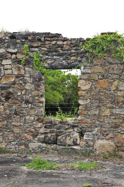 Parque Nacional El Palmar (diciembre 2017)