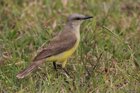 Parque Nacional El Palmar (diciembre 2017)