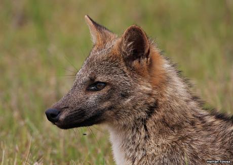 Parque Nacional El Palmar (diciembre 2017)