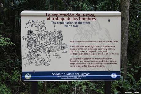 Parque Nacional El Palmar (diciembre 2017)