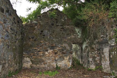 Parque Nacional El Palmar (diciembre 2017)