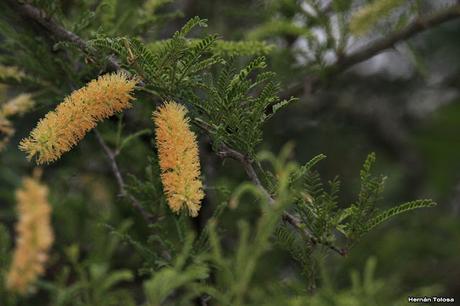 Parque Nacional El Palmar (diciembre 2017)