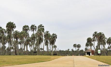 Parque Nacional El Palmar (diciembre 2017)