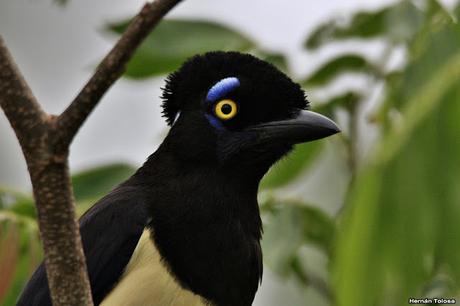 Parque Nacional El Palmar (diciembre 2017)