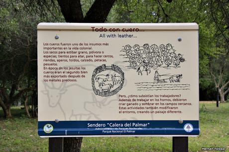 Parque Nacional El Palmar (diciembre 2017)