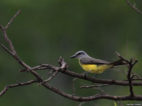 Parque Nacional El Palmar (diciembre 2017)
