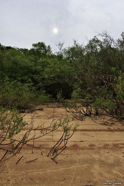 Parque Nacional El Palmar (diciembre 2017)
