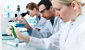 Soñar con una investigación. Adquiere nuevos conocimientos y saca la verdad de un asunto. Soñar con una investigación. Adquiere nuevos conocimientos y saca la verdad de un asunto.