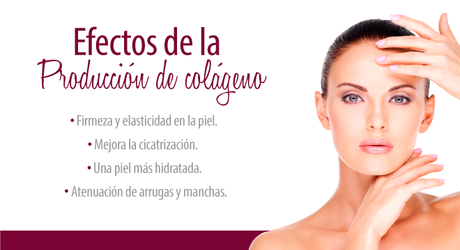 Los beneficios de aumentar el consumo de colágeno