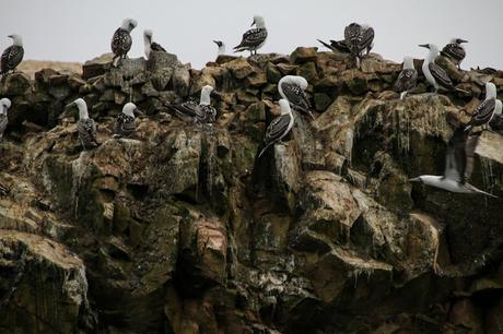 Una escapada a Perú