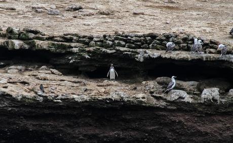 Una escapada a Perú