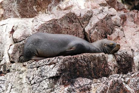 Una escapada a Perú