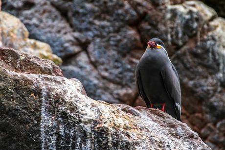 Una escapada a Perú