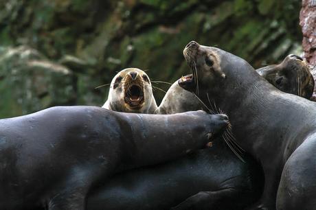 Una escapada a Perú