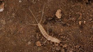 Increíble descubrimiento en cuevas de Irán