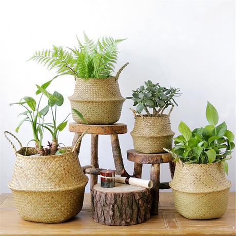 Las mejores macetas y cestas para plantas