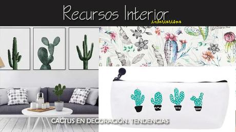 Cactus en decoración.Tendencias