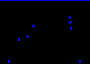 El Bitcoin, los nuevos tulipanes?