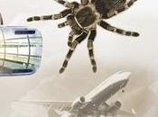 Realidad virtual, alternativa terapéutica psicoterapias