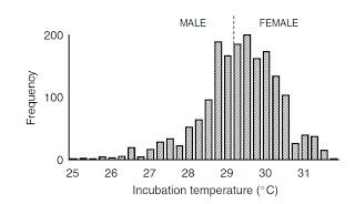 Efectos colaterales del cambio climático: cambios en la proporción sexual de algunas especies