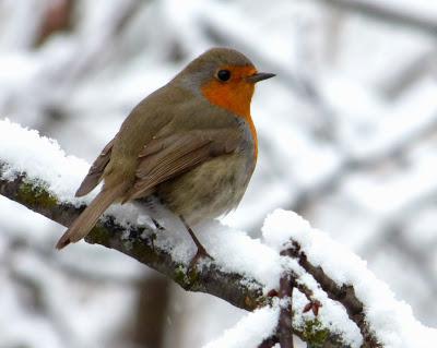 DÍA DE REYES DIFERENTE