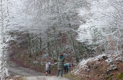 DÍA DE REYES DIFERENTE