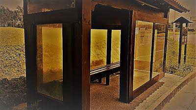 LÍNEA 29 (capítulo tercero)