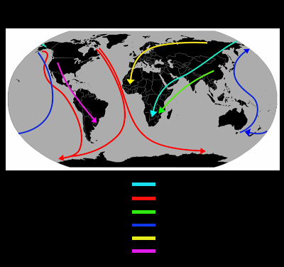 Ejemplos de rutas de aves migratorias