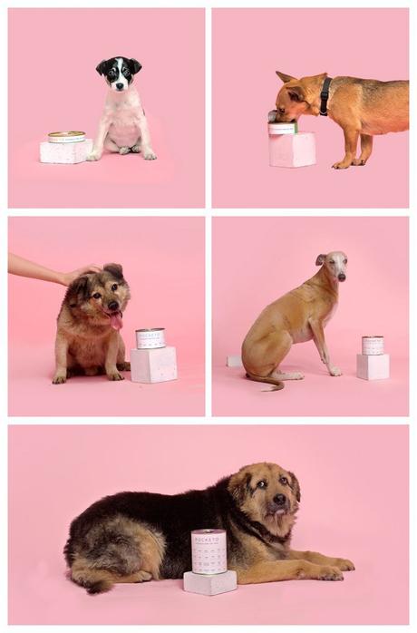 Un packaging adorable para una marca de comida de perros ecológica