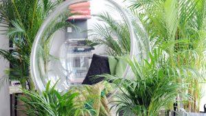 Plantas que purifican el ambiente interior de los hogares