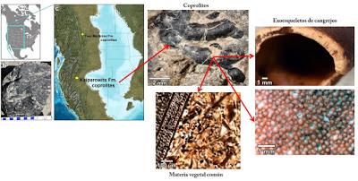 Top 10: Lo mejor del 2017