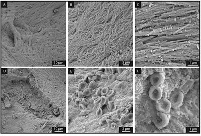 Top 10: Lo mejor del 2017