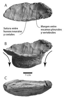 Top 10: Lo mejor del 2017