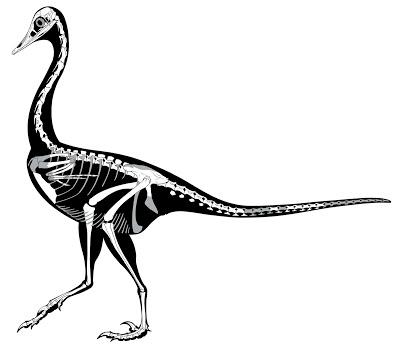 Top 10: Lo mejor del 2017