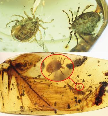 Top 10: Lo mejor del 2017