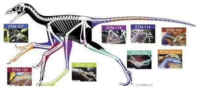 Top 10: Lo mejor del 2017