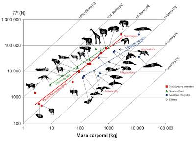 Top 10: Lo mejor del 2017