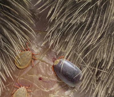 Top 10: Lo mejor del 2017